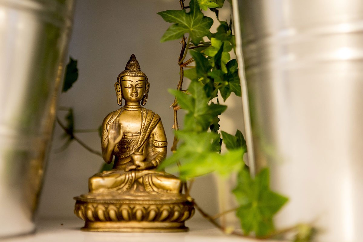 element-portfolio-landscape-fdc4